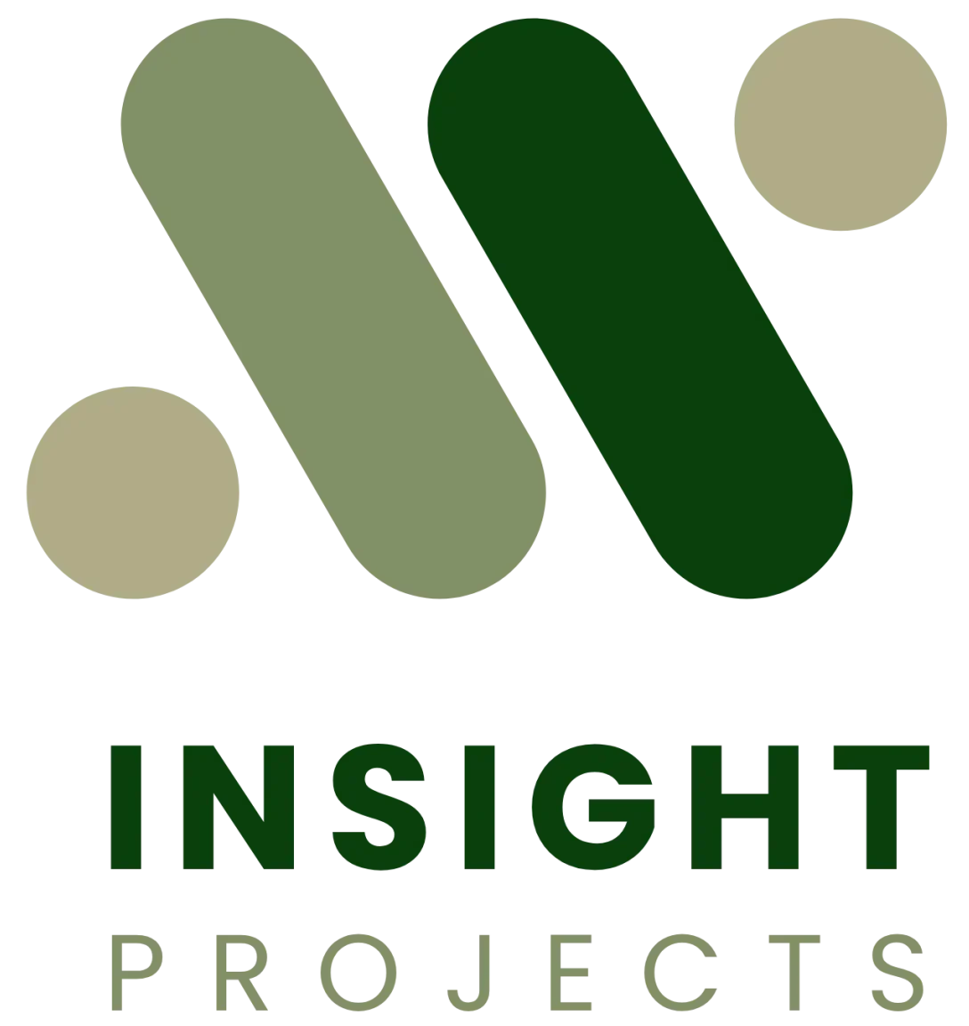 Insight Projects